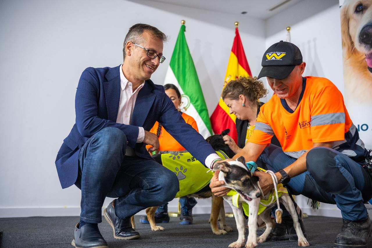 urdiales. campaña evitar abandono animales