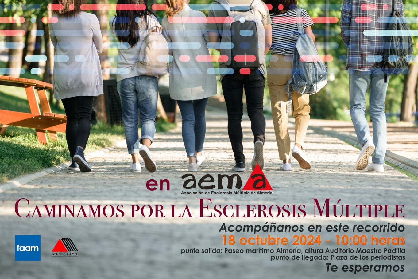 aema esclerosis almeria