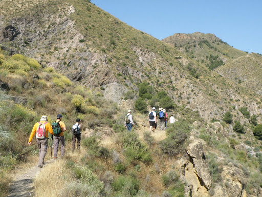 camino alboloduy