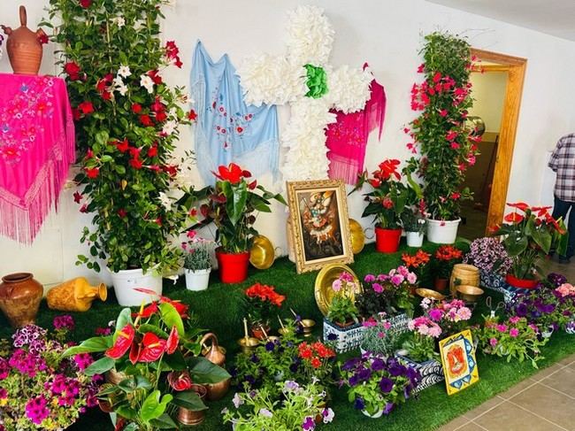 cruz de mayo dalias