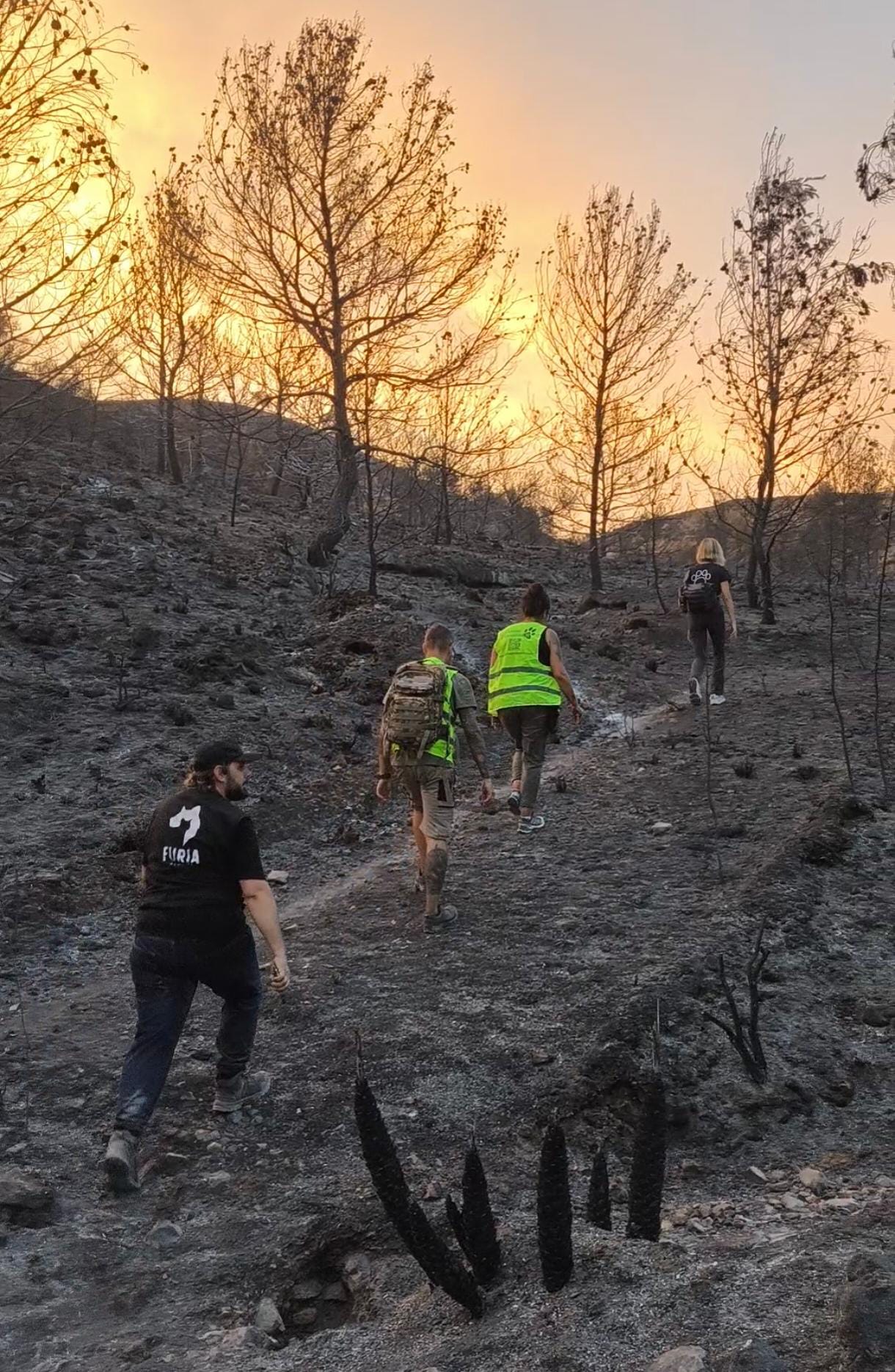 incendio voluntarios