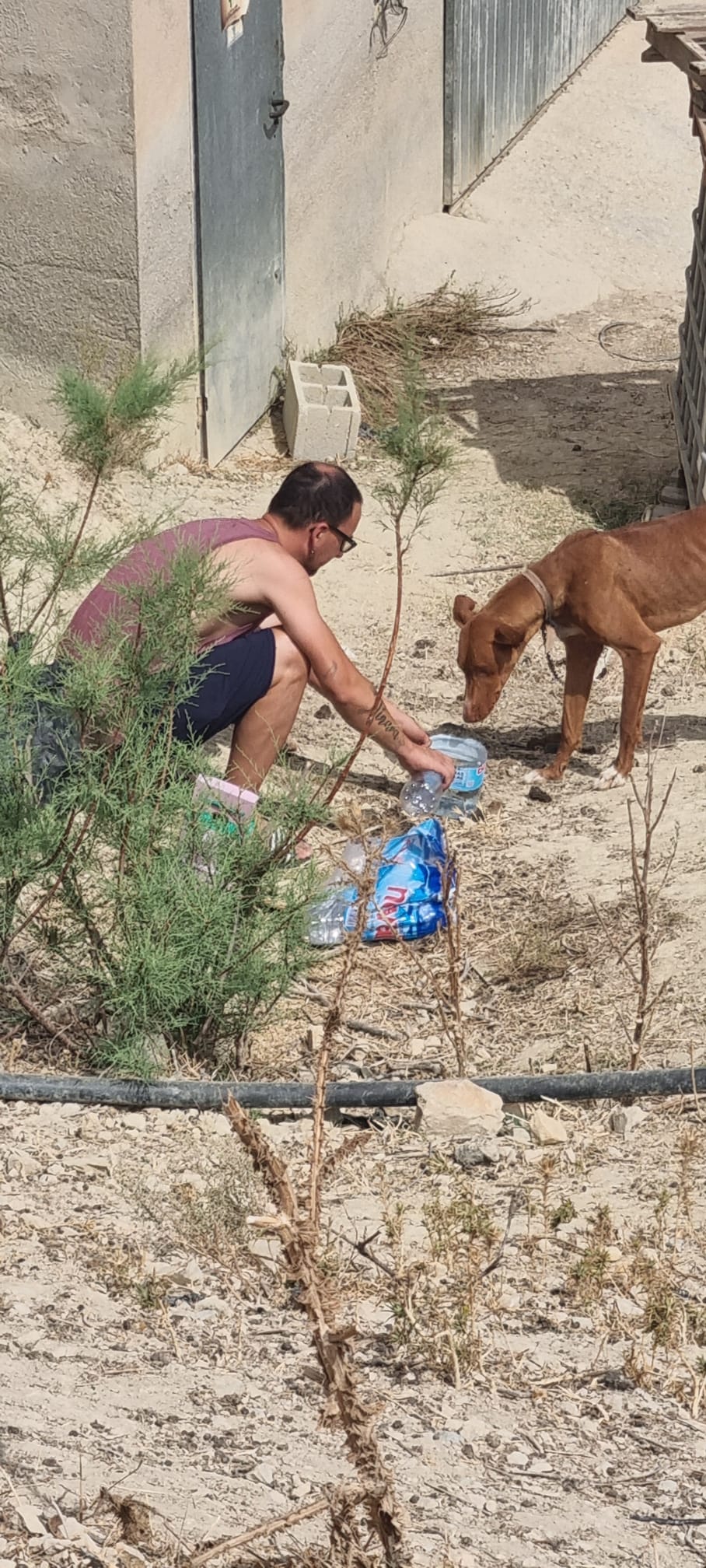 incendio voluntarios