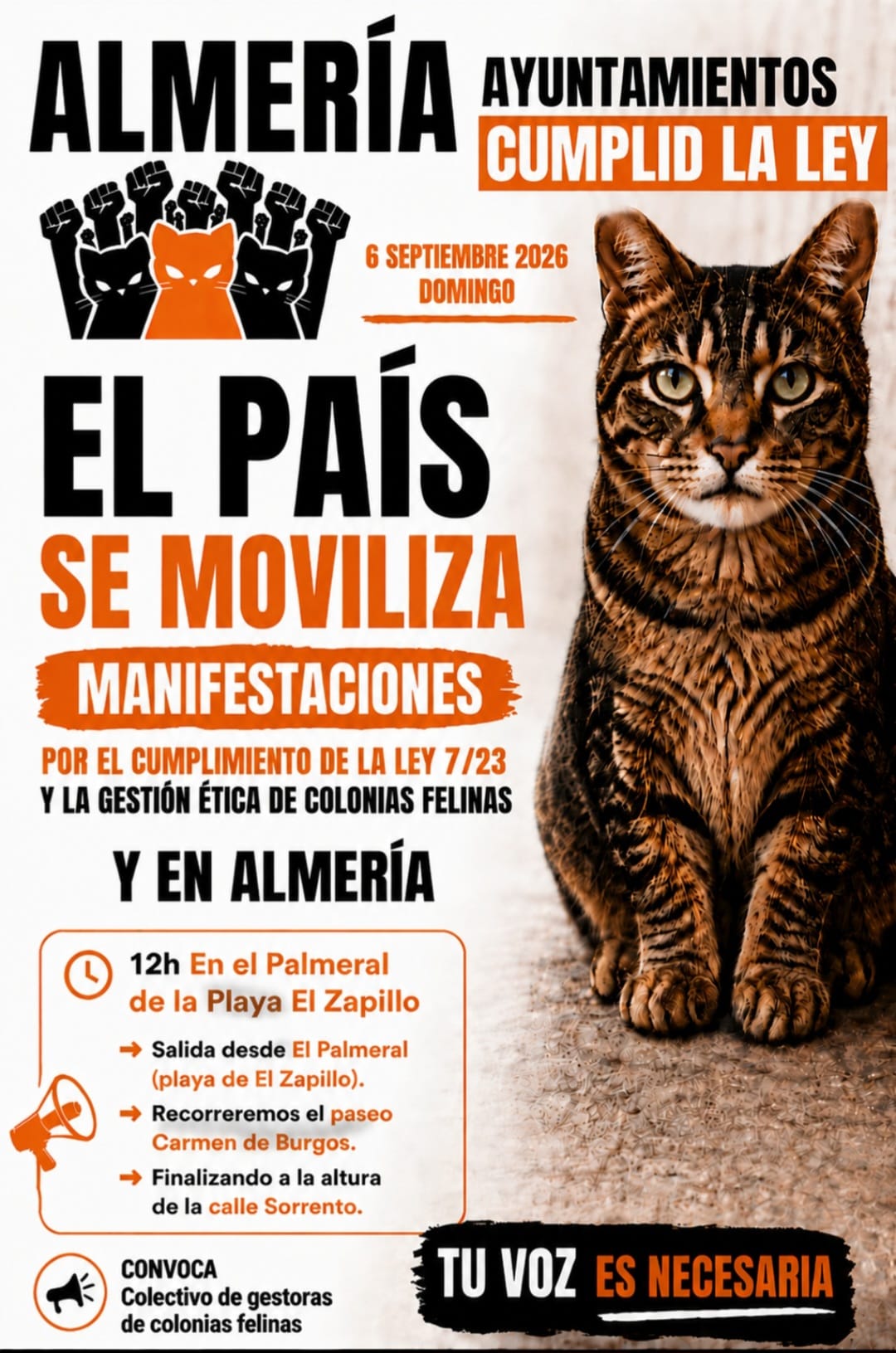 CER Manifestación