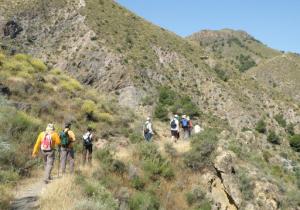 camino alboloduy