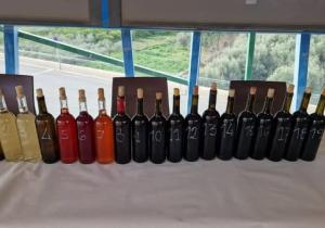 vinos benahadux