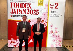 Tokio SAbores