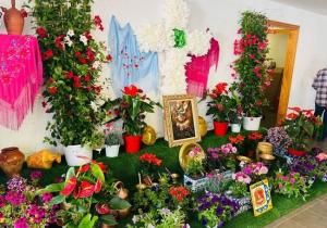 cruz de mayo dalias