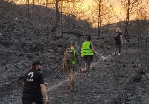 incendio voluntarios