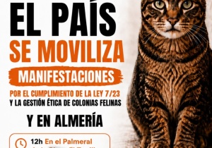 CER Manifestación