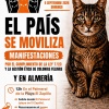 CER Manifestación